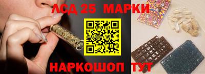сатива Кандалакша