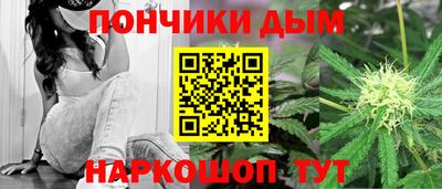 сатива Кандалакша