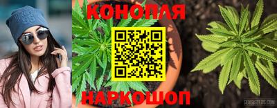 PSILOCYBIN Камышлов