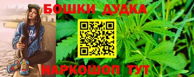 сатива Кандалакша