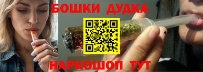 сатива Кандалакша
