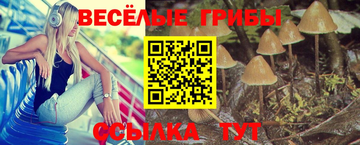 дарнет шоп  Псилоцибиновые грибы GOLDEN TEACHER  Вход с VPN  Людиново 